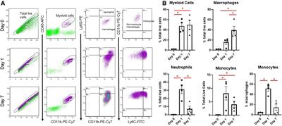 Temporal changes in glucose metabolism reflect polarization in resident and monocyte-derived macrophages after myocardial infarction